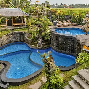 4* Hotel Gynandha